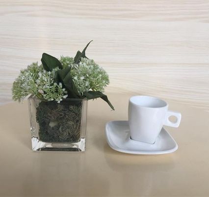 SGS OEM Acceptable Plain White Cup And Saucer For Cappuccino