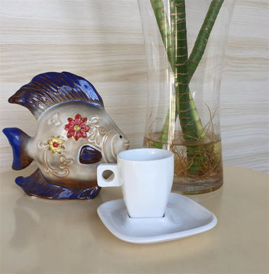 SGS OEM Acceptable Plain White Cup And Saucer For Cappuccino