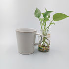 Eco-Friendly Wholesale Solid New Design Reusable Personalized Ceramic Mug